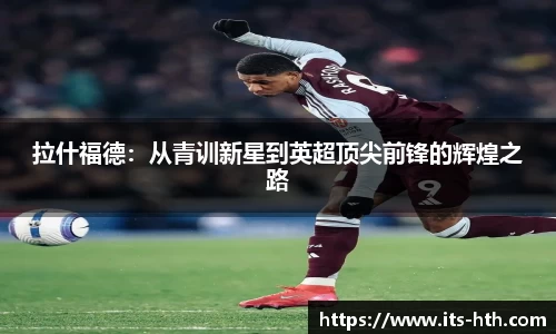 华体会下载